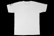 画像2: BULL TERRIER Tシャツ ビンテージエンブレム 白 (2)