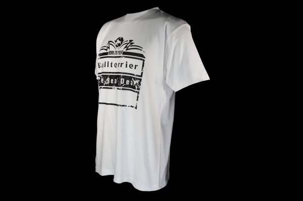 画像5: BULL TERRIER Tシャツ Born to Fight 白 (5)