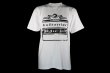 画像4: BULL TERRIER Tシャツ Born to Fight 白 (4)