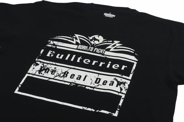 画像3: BULL TERRIER Tシャツ Born to Fight 黒 (3)