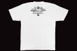 画像2: BULL TERRIER Tシャツ Born to Fight 白 (2)