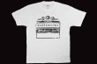 画像1: BULL TERRIER Tシャツ Born to Fight 白 (1)