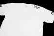 画像3: BULL TERRIER Tシャツ THE 白 (3)