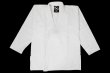 画像1: BULLTERRIER 柔術衣 ウルトラライトZeroR 白 (1)