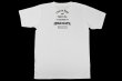 画像2: BULL TERRIER クレベル・コイケ Live to Fight Tシャツ 白 (2)