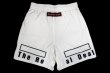 画像5: BULLTERRIER ファイトショーツ Fight&Sports 白 (5)
