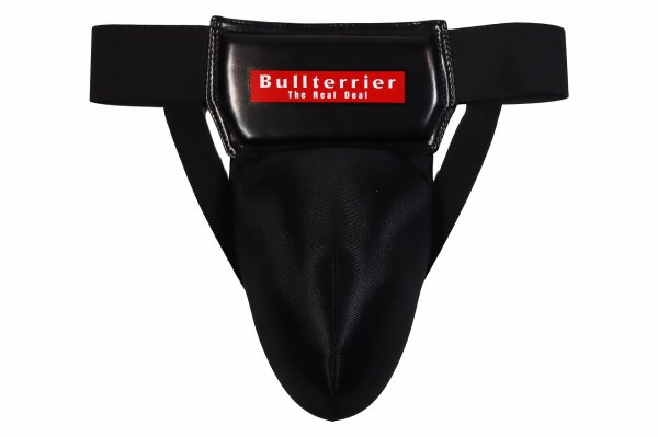 画像1: BULL TERRIER ファールカッププロテクター Basic DX (1)