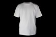 画像5: BULL TERRIER Tシャツ THE 白/金 (5)