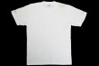 画像1: BULL TERRIER Tシャツ THE 白/金 (1)