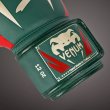 画像3: VENUM ボクシンググローブ Elite Special Edition 緑 (3)