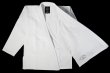 画像2: BULL TERRIER 柔術衣 Limited R 白 (2)