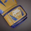 画像3: VENUM ボクシンググローブ Elite Special Edition キャメル (3)