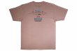 画像3: BULL TERRIER Tシャツ JAPAN ピンク (3)