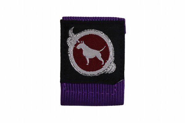 画像10: BULL TERRIER 帯留め 2.0 (10)