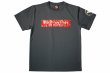 画像1: BULL TERRIER ドライTシャツ Basic Logo グレー (1)