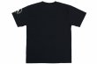 画像2: BULL TERRIER ドライTシャツ Basic Logo 黒 (2)