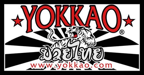 新品】YOKKAO キックミット ピンクと水色
