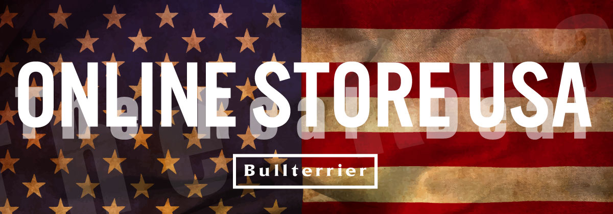 BULL TERRIER USA
